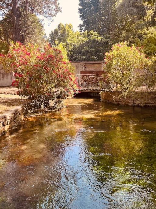 Appartement Fontaine De Vaucluse Luaran gambar